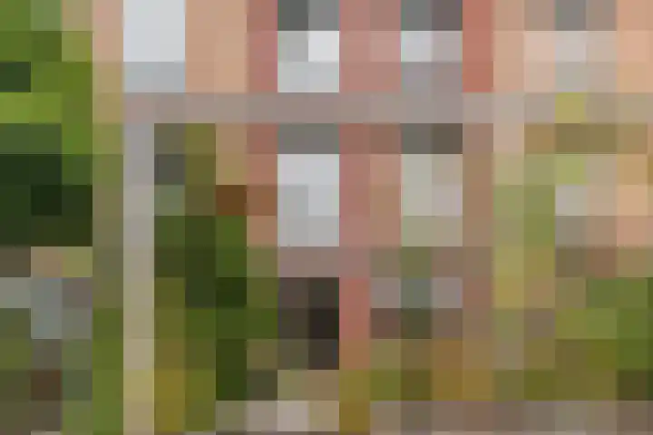 Henri Matissehof 3 Utrecht thumbnail 19