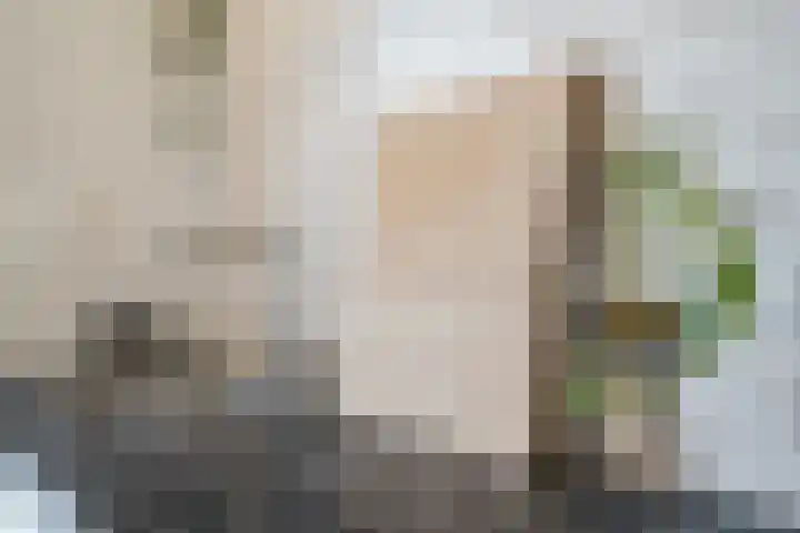 Henri Matissehof 3 Utrecht thumbnail 30