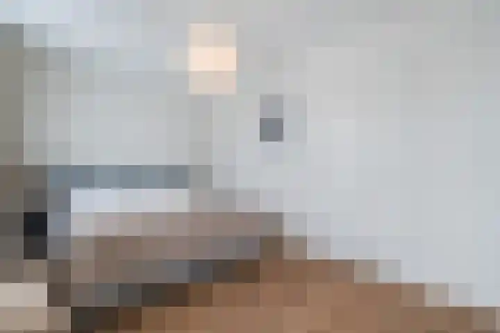 Henri Matissehof 3 Utrecht thumbnail 35