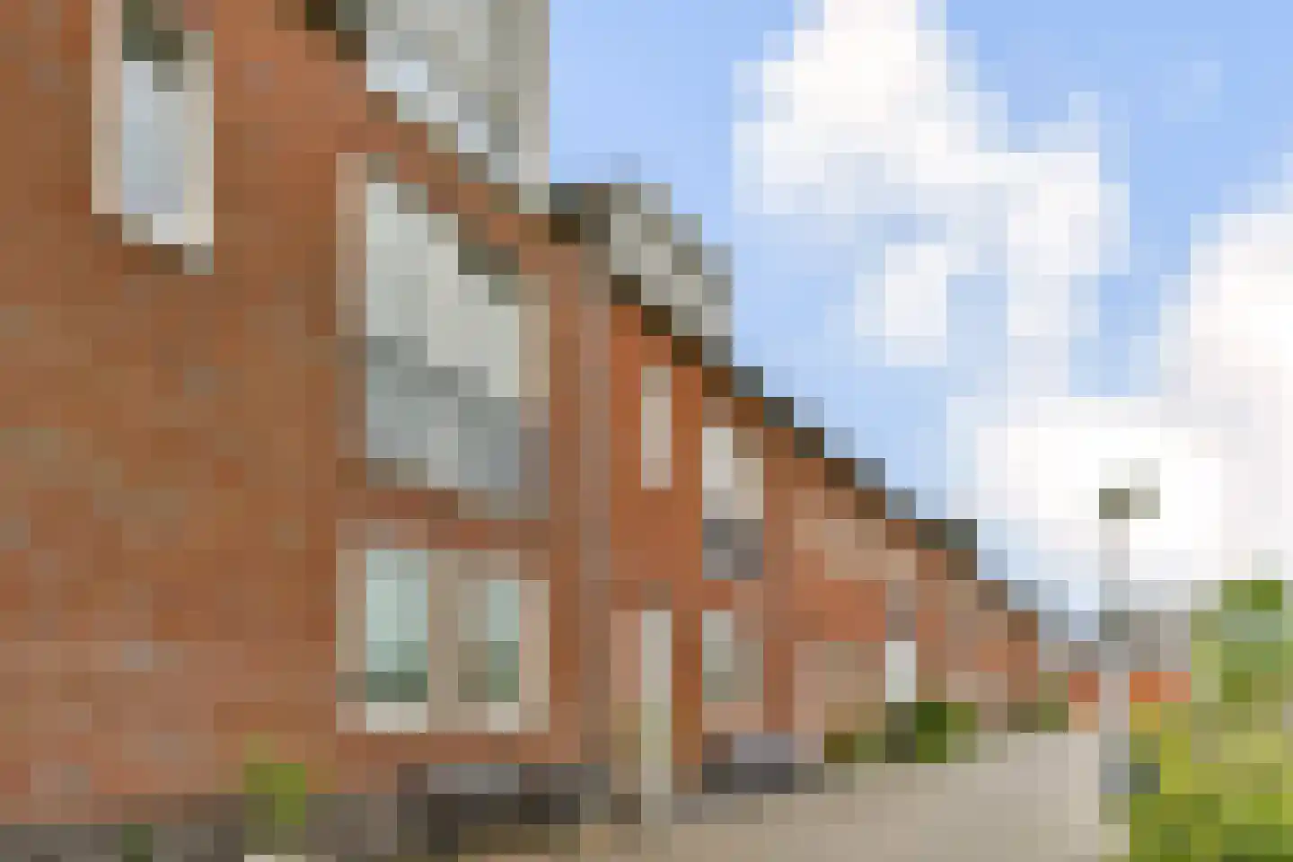 Henri Polakstraat 27 Schiedam thumbnail 23
