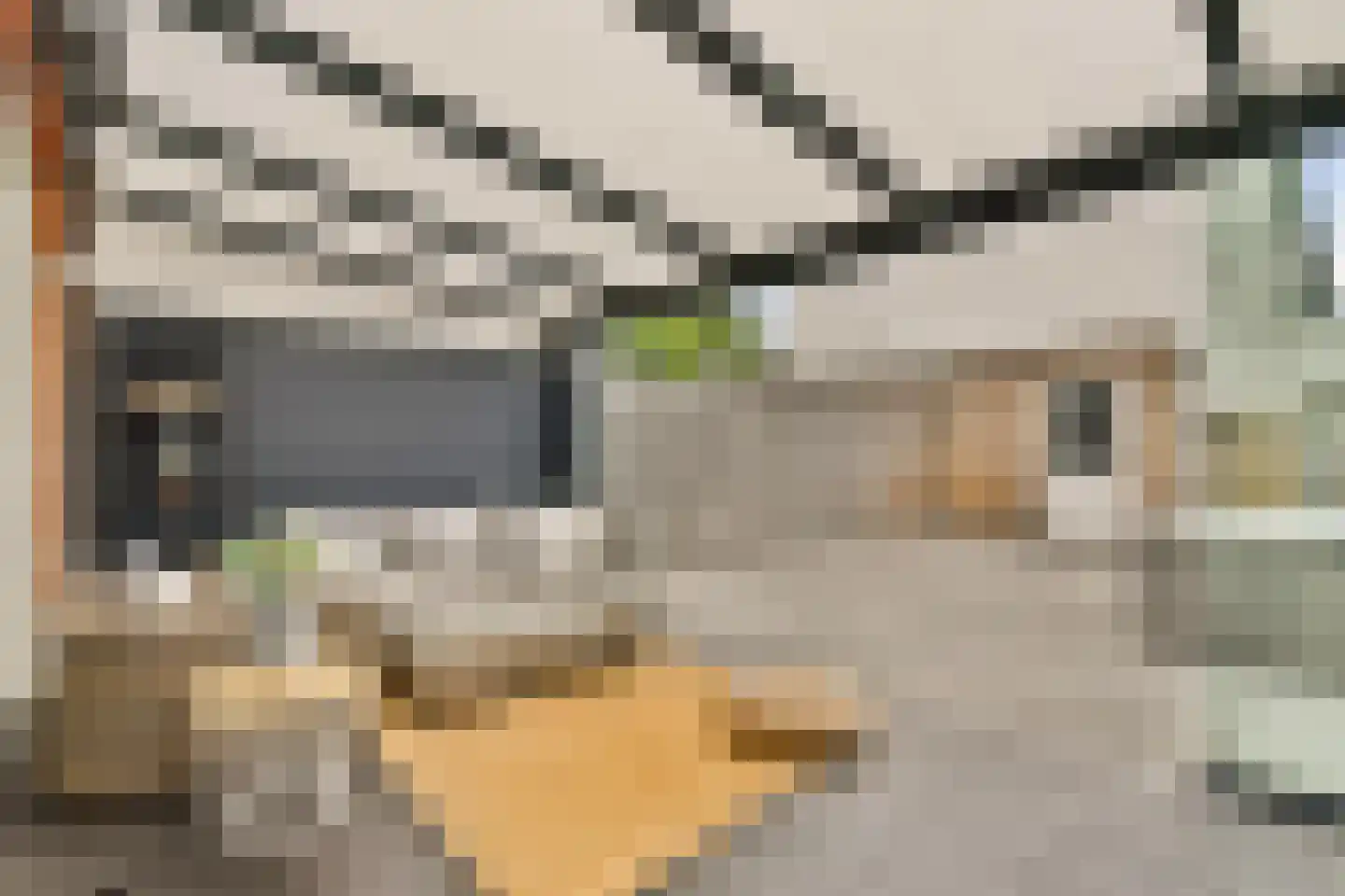 Henri Polakstraat 27 Schiedam thumbnail 8