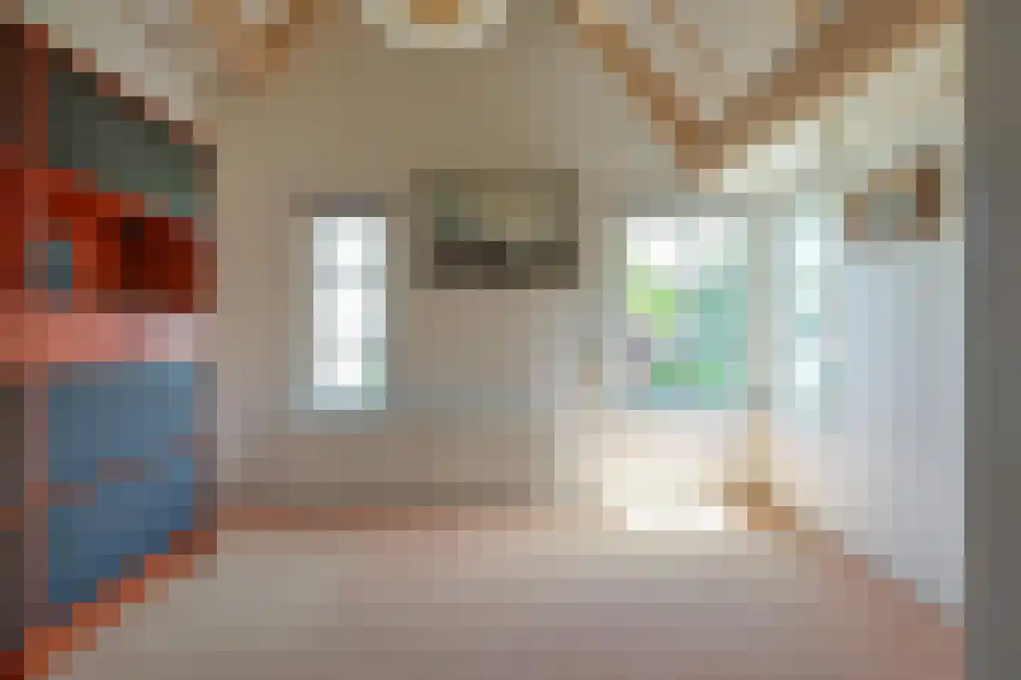 Henri Schuytstraat 7 Castricum thumbnail 25