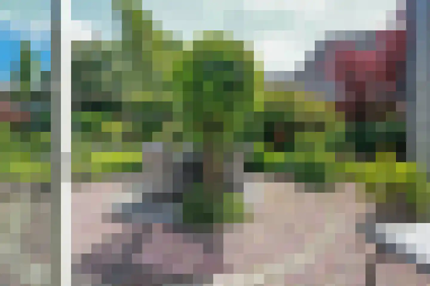 Henri Schuytstraat 7 Castricum thumbnail 30