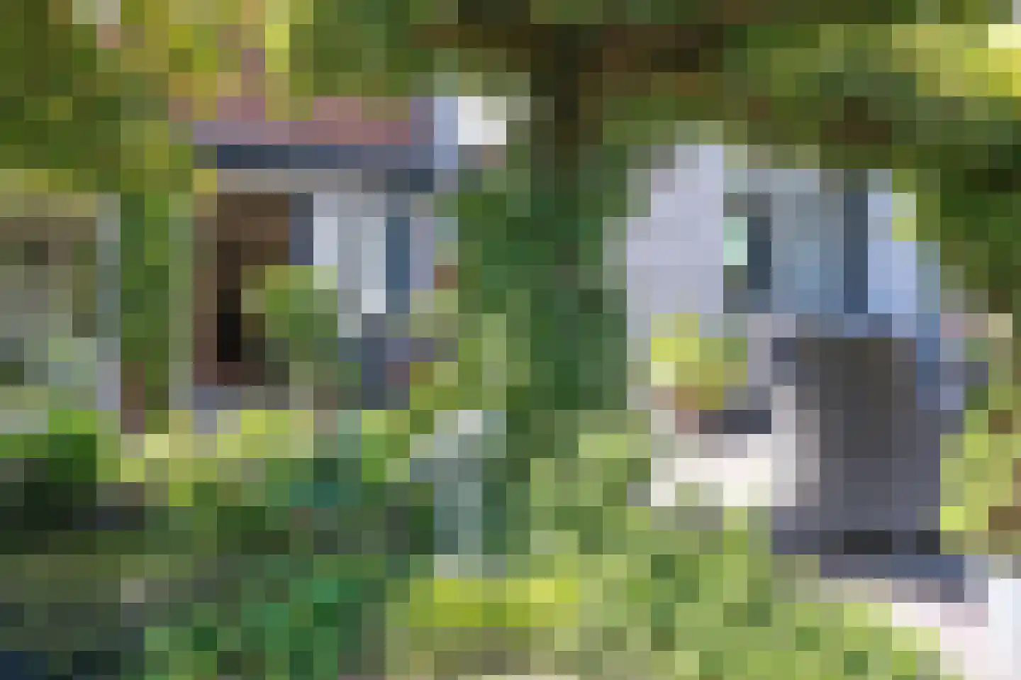 Henri Schuytstraat 7 Castricum thumbnail 37