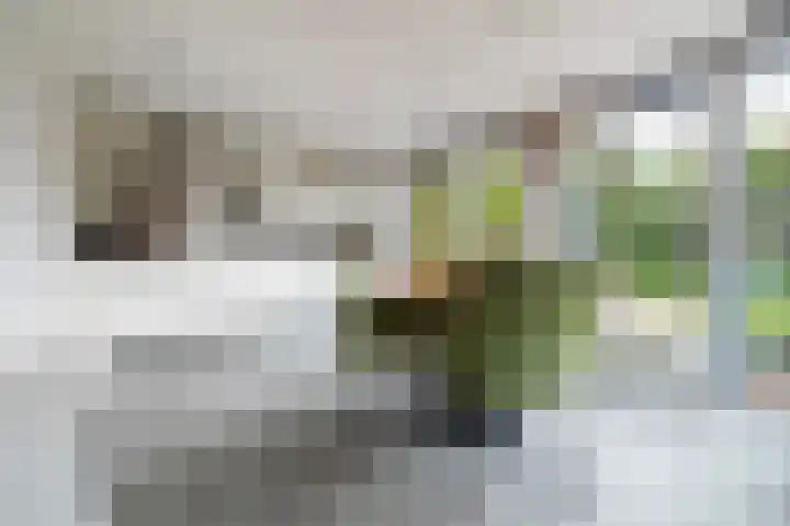 Henri t' Sasplein 31 Breda thumbnail 12