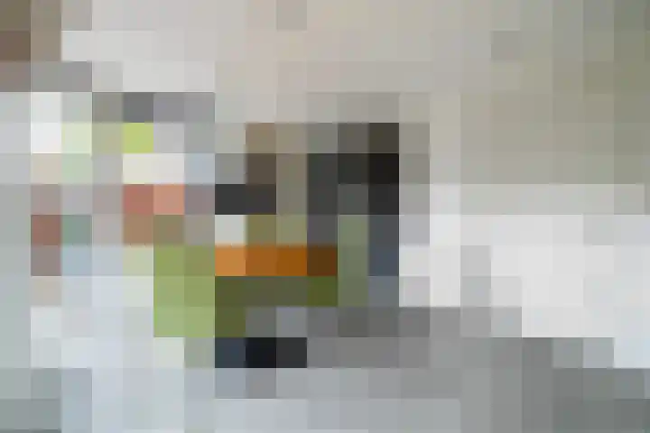 Henri t' Sasplein 31 Breda thumbnail 13
