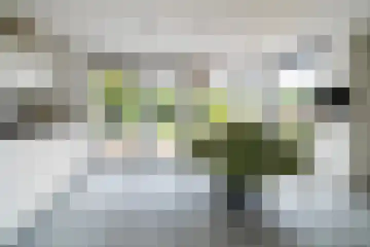 Henri t' Sasplein 31 Breda thumbnail 14