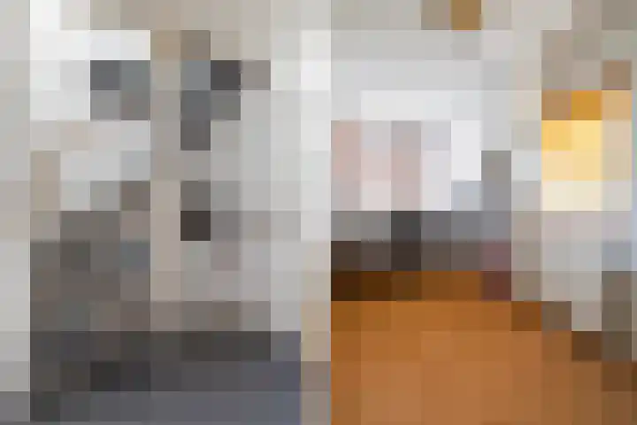 Henri t' Sasplein 31 Breda thumbnail 16