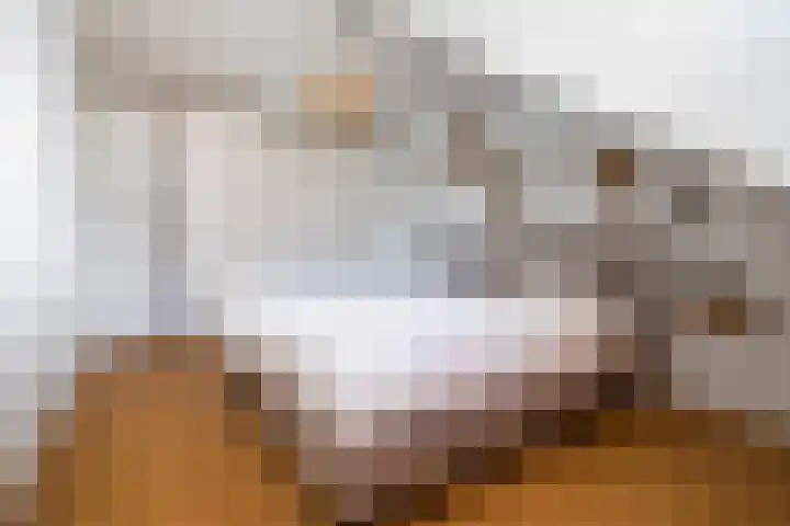 Henri t' Sasplein 31 Breda thumbnail 18