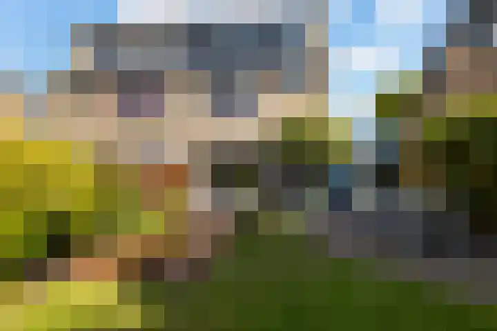 Henri t' Sasplein 31 Breda thumbnail 22