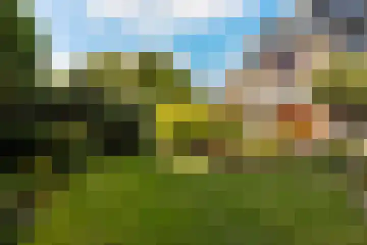 Henri t' Sasplein 31 Breda thumbnail 25