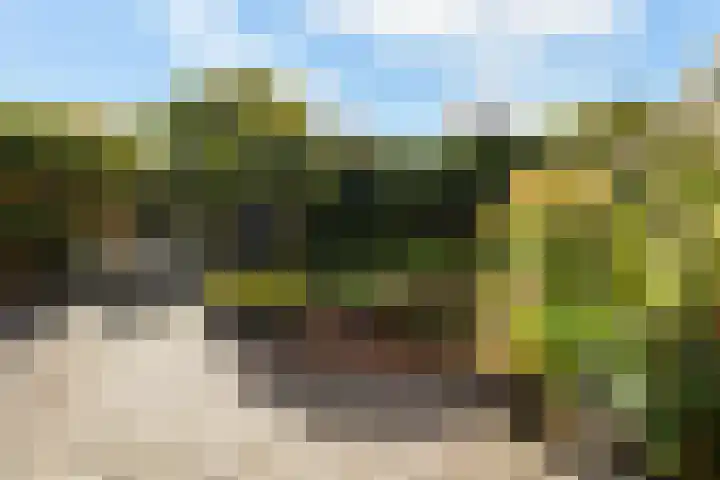 Henri t' Sasplein 31 Breda thumbnail 4