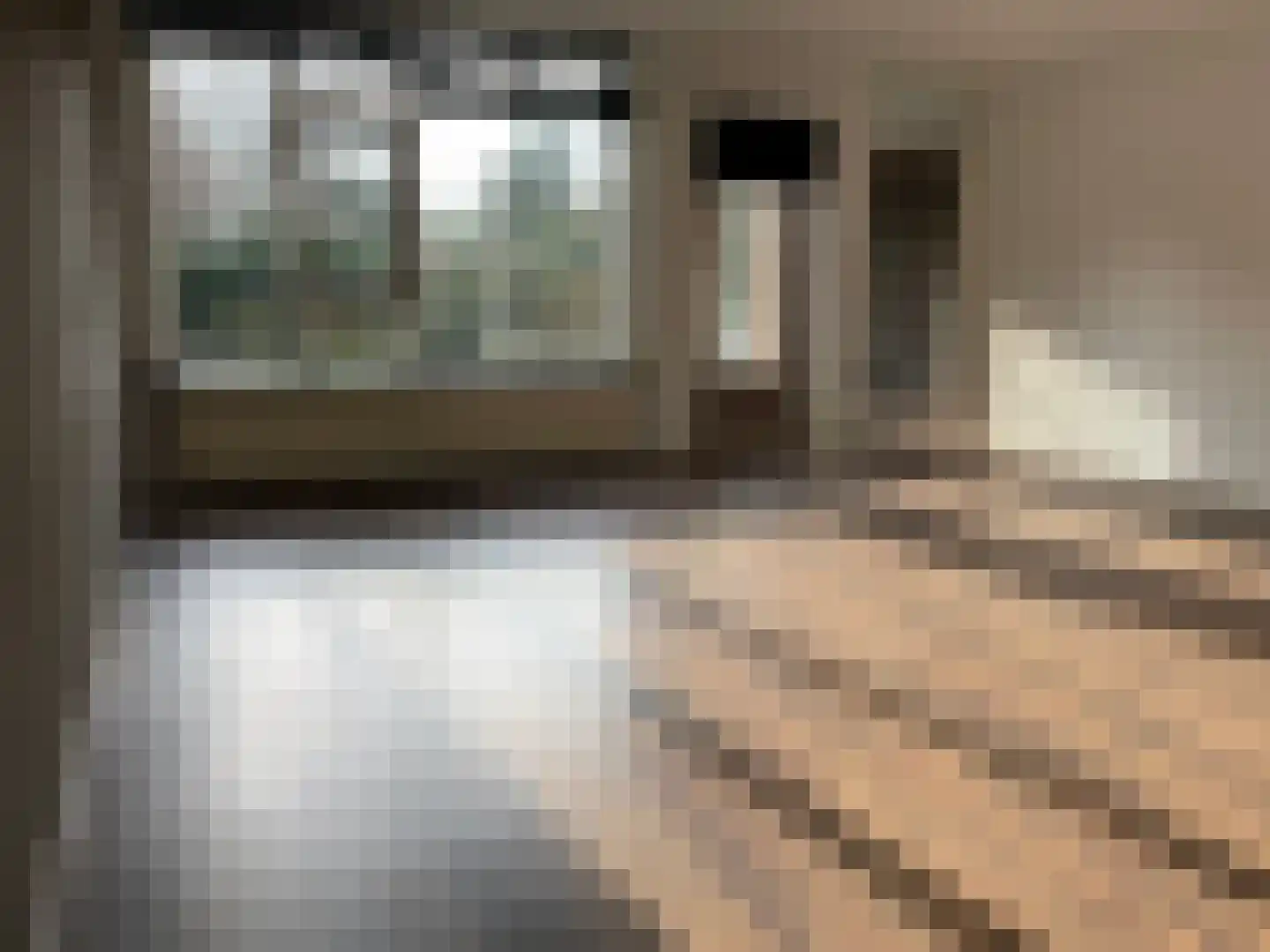 Henri Taymansstraat 24 Zwolle thumbnail 5