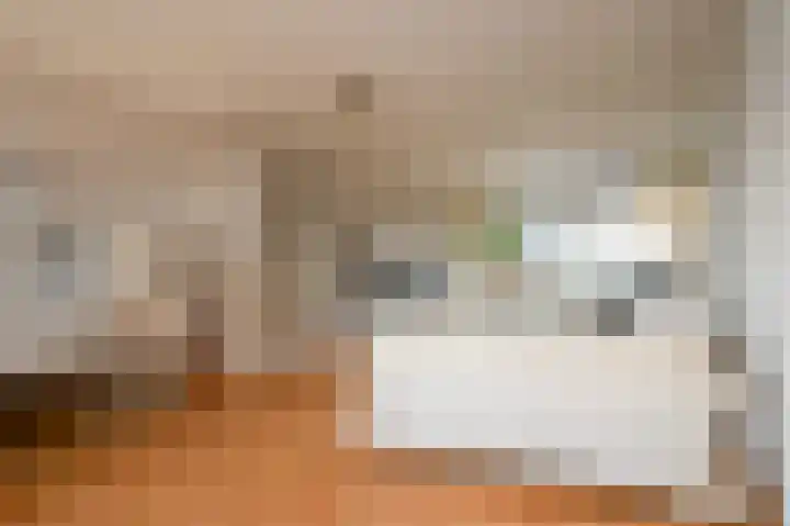 Henri ter Hallsingel 122 Rijswijk thumbnail 6