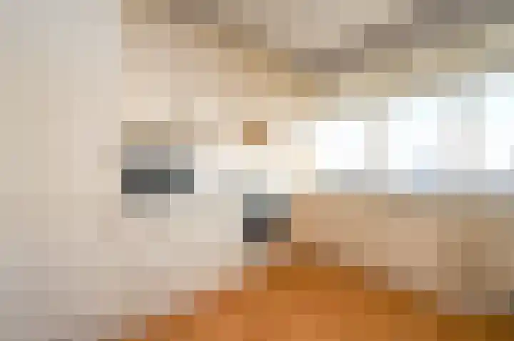 Henri ter Hallsingel 122 Rijswijk thumbnail 8