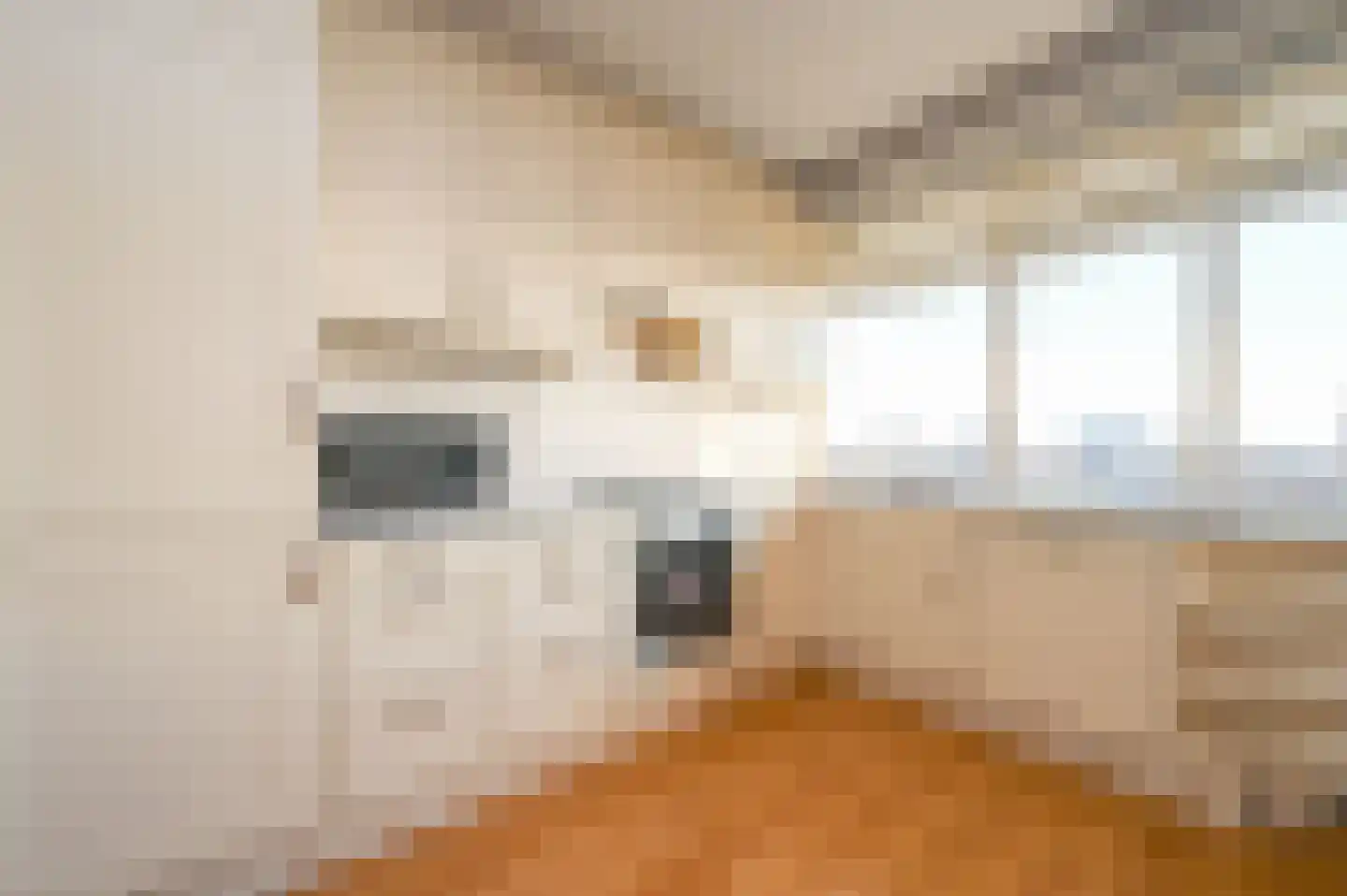 Henri ter Hallsingel 122 Rijswijk thumbnail 8