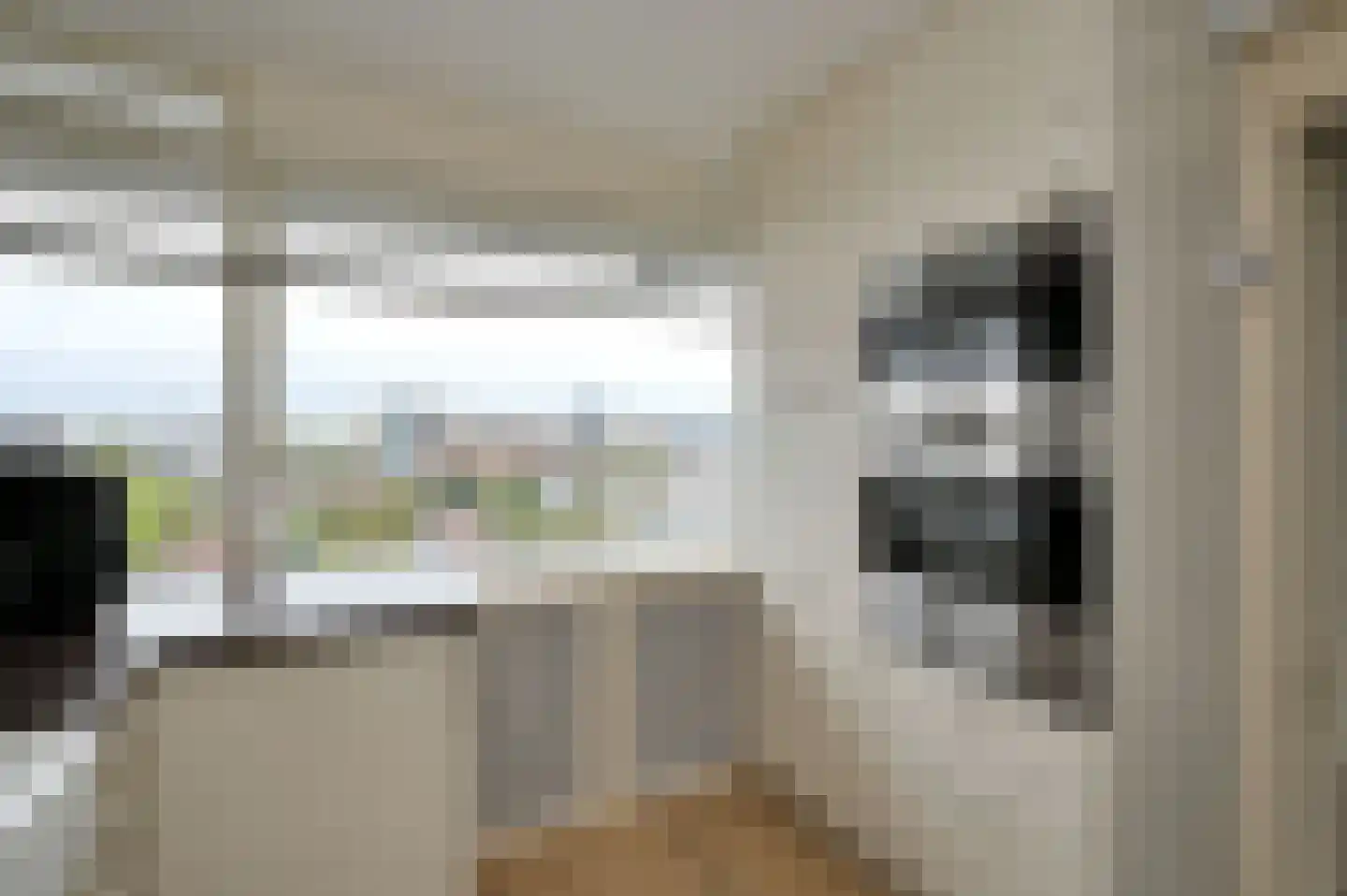 Henri ter Hallsingel 158 Rijswijk thumbnail 22