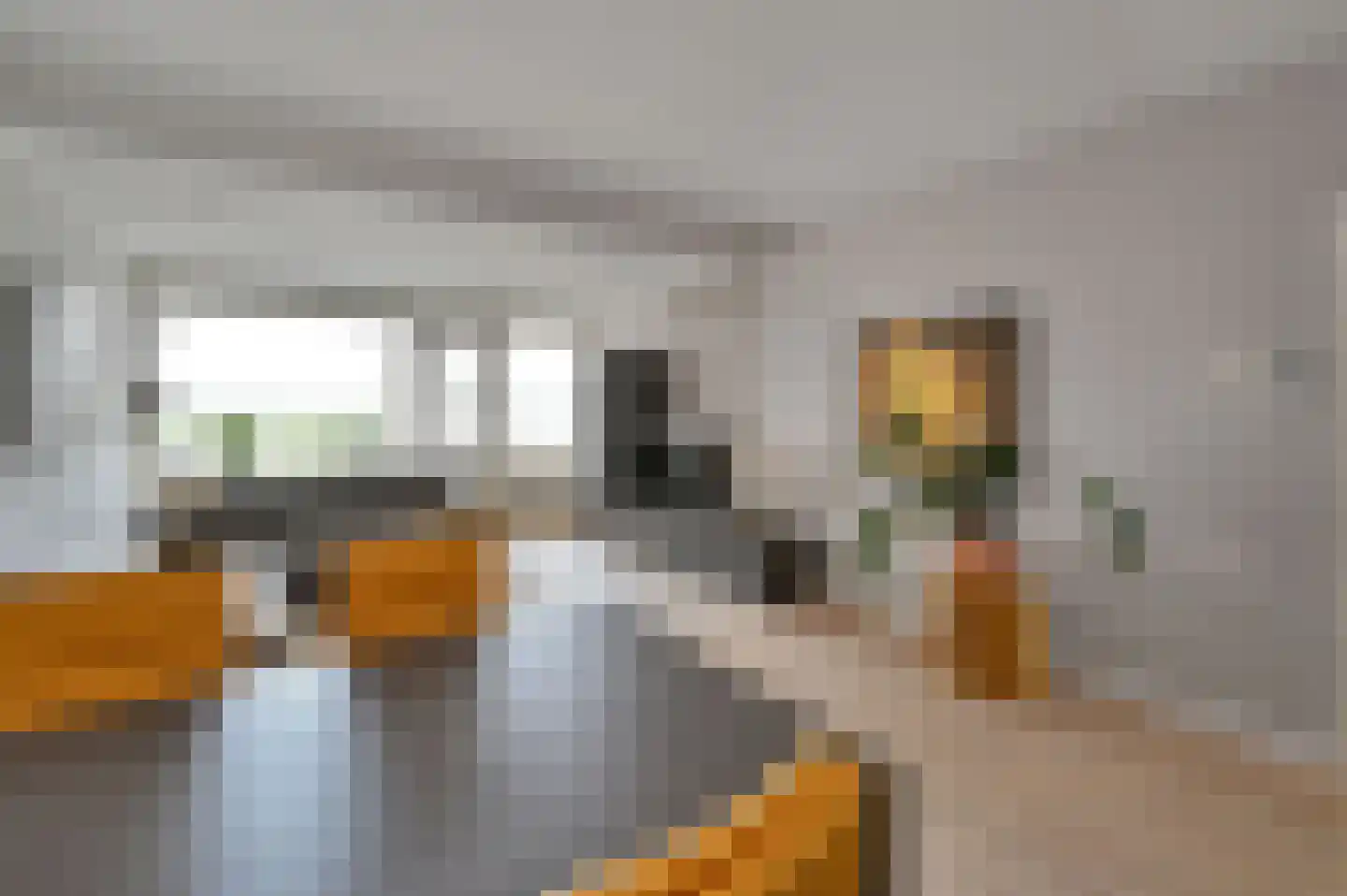 Henri ter Hallsingel 158 Rijswijk thumbnail 5
