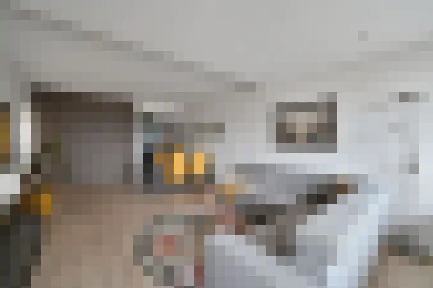 Henri ter Hallsingel 158 Rijswijk thumbnail 8