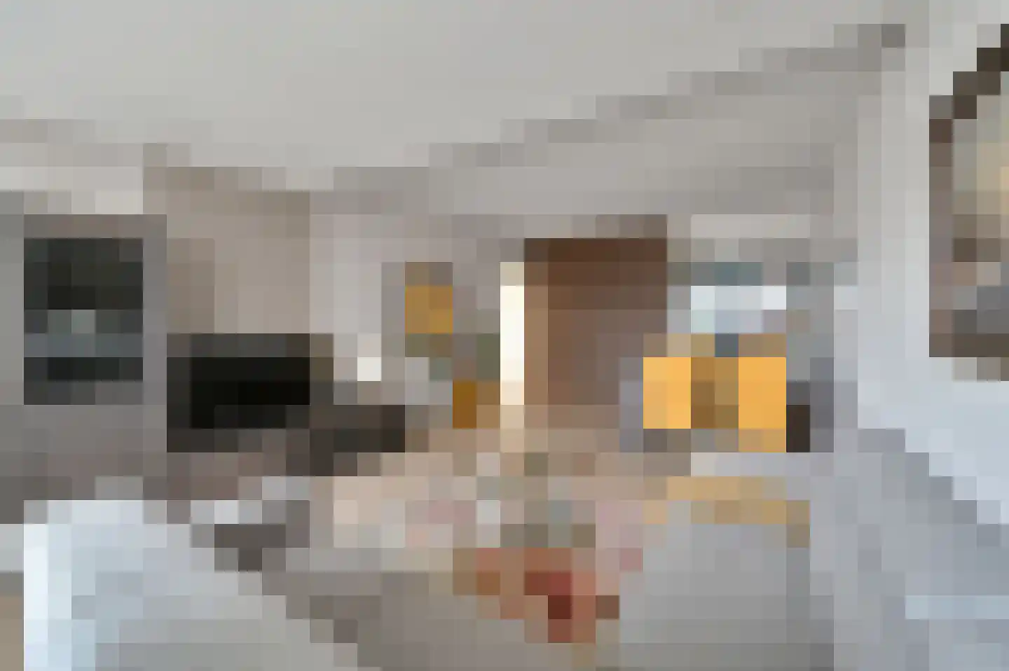 Henri ter Hallsingel 158 Rijswijk thumbnail 9