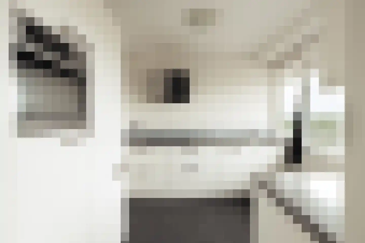 Henri ter Hallsingel 162 Rijswijk thumbnail 4