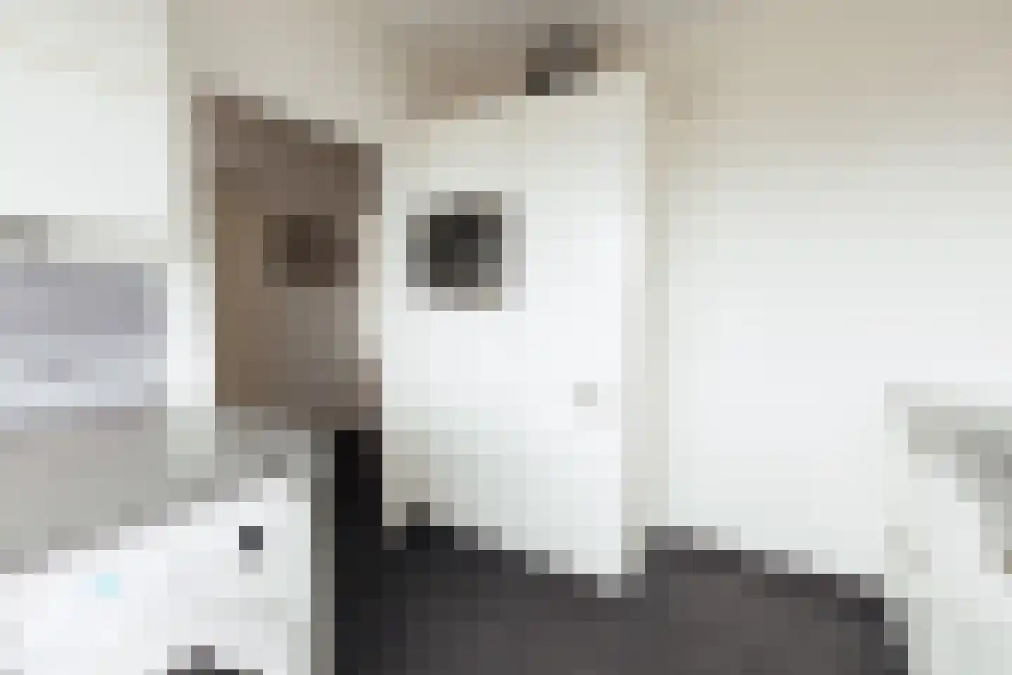 Henri ter Hallsingel 162 Rijswijk thumbnail 6