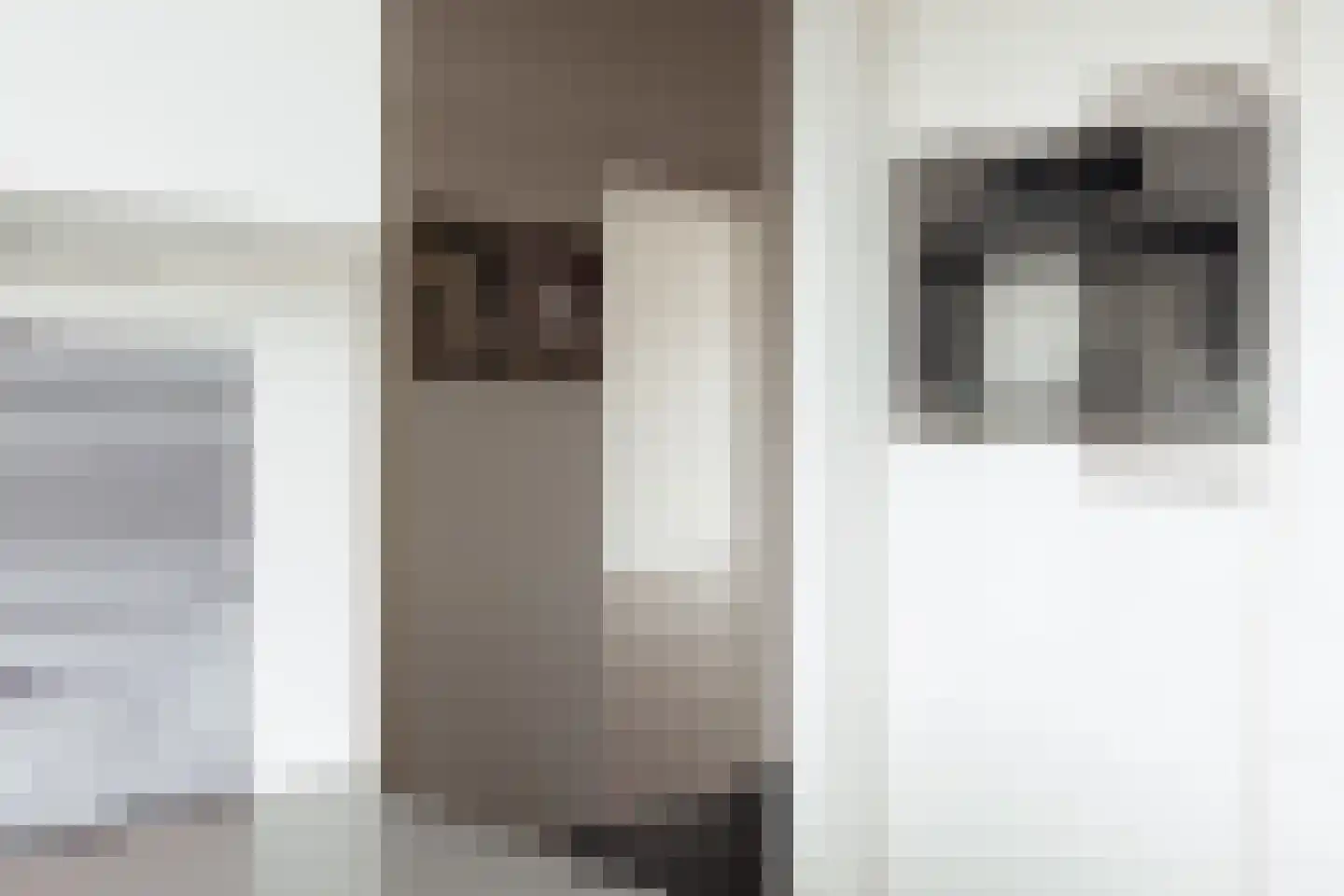 Henri ter Hallsingel 162 Rijswijk thumbnail 7