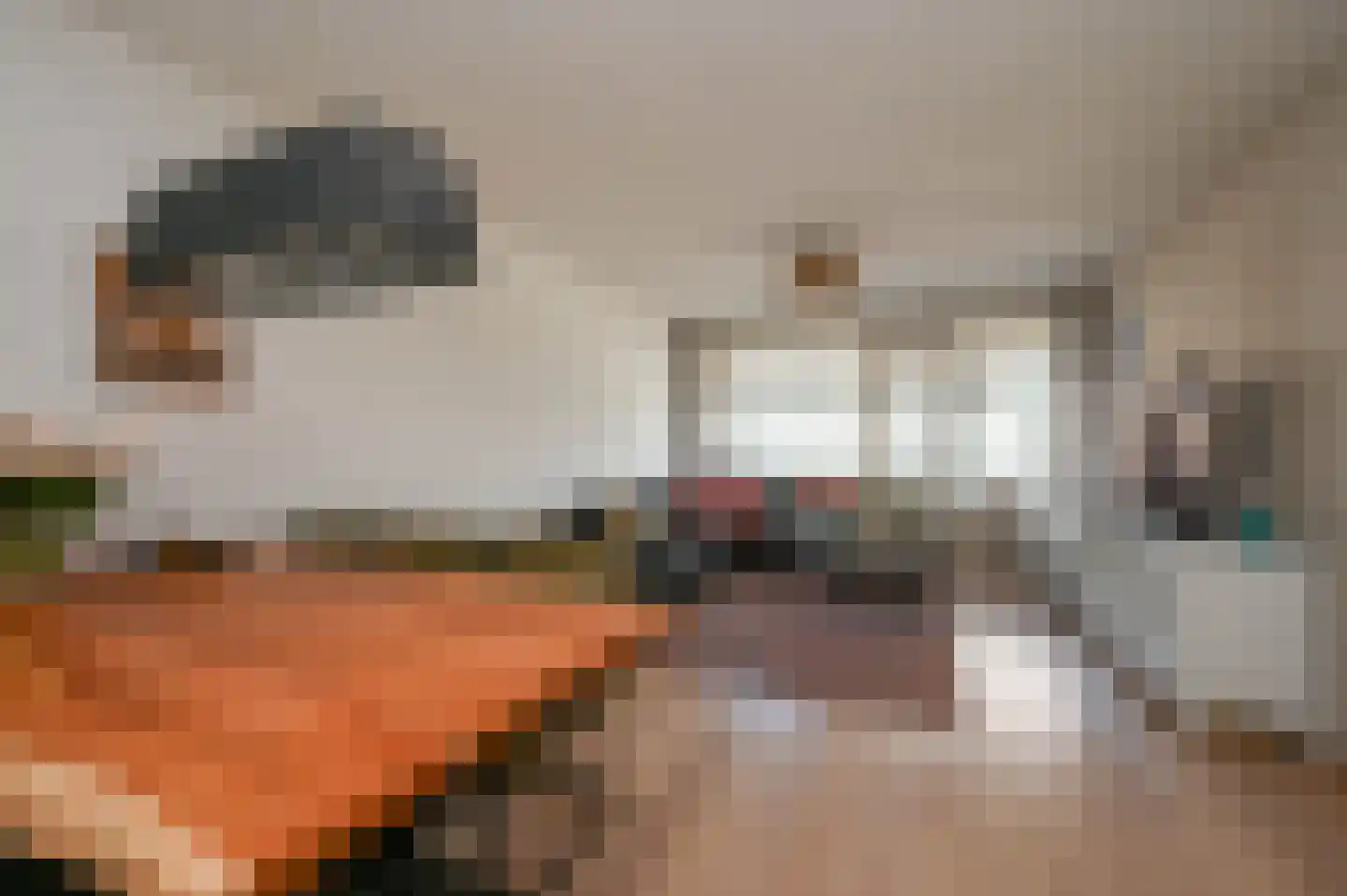 Henri ter Hallsingel 78 Rijswijk thumbnail 12