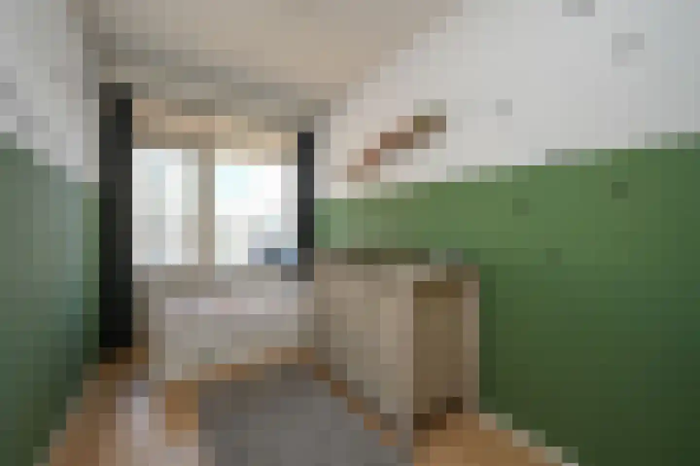 Henri ter Hallsingel 78 Rijswijk thumbnail 21