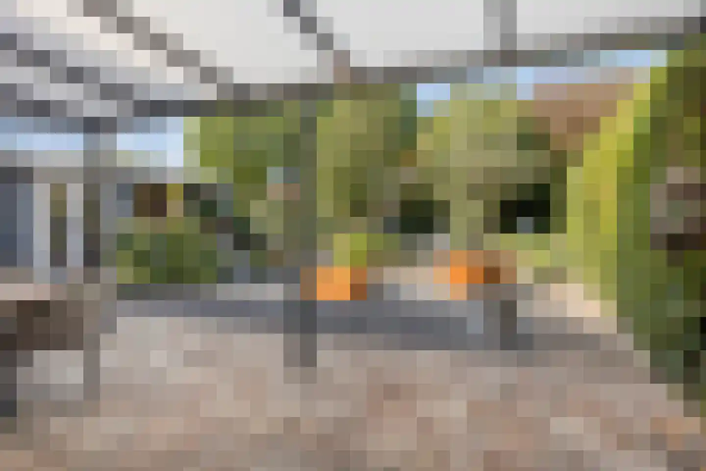 Henri Tijssenstraat 47 Roermond thumbnail 29
