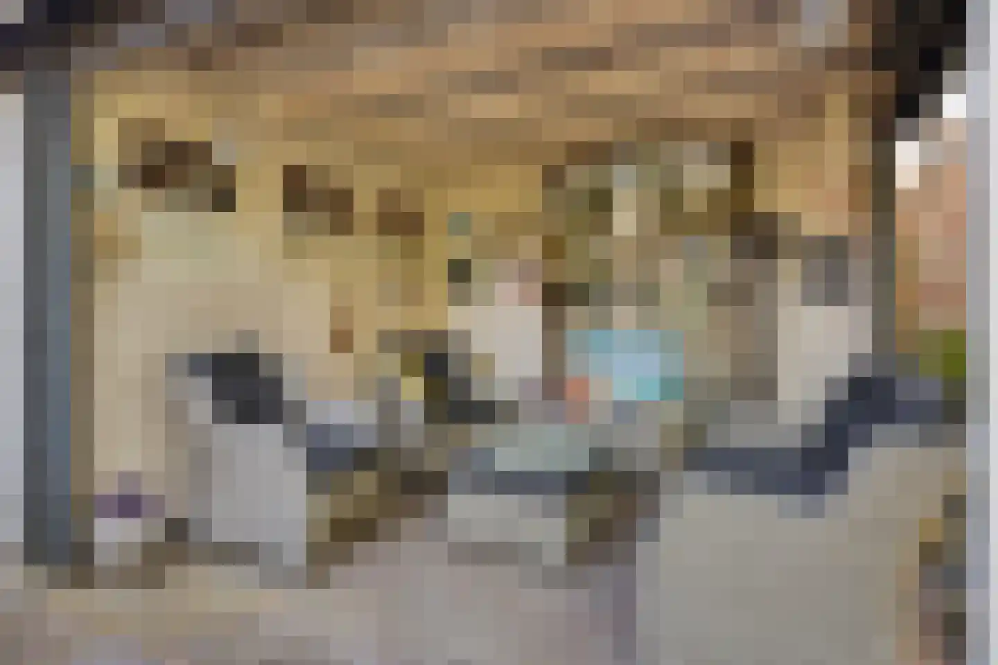 Henri Tijssenstraat 47 Roermond thumbnail 33