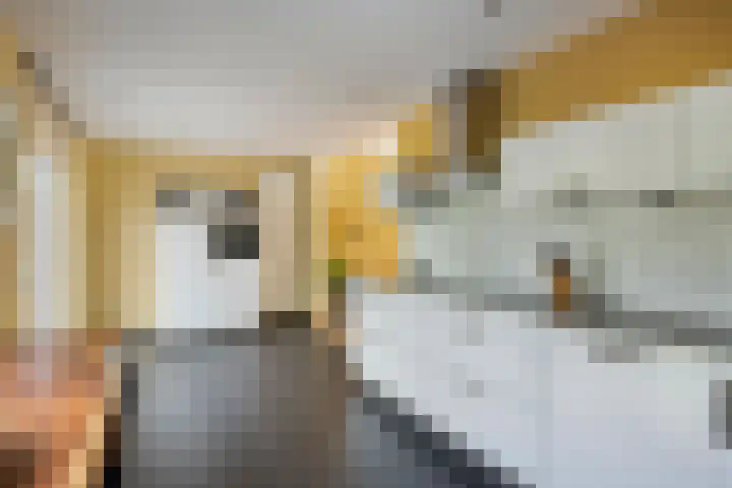Henri Tijssenstraat 47 Roermond thumbnail 5