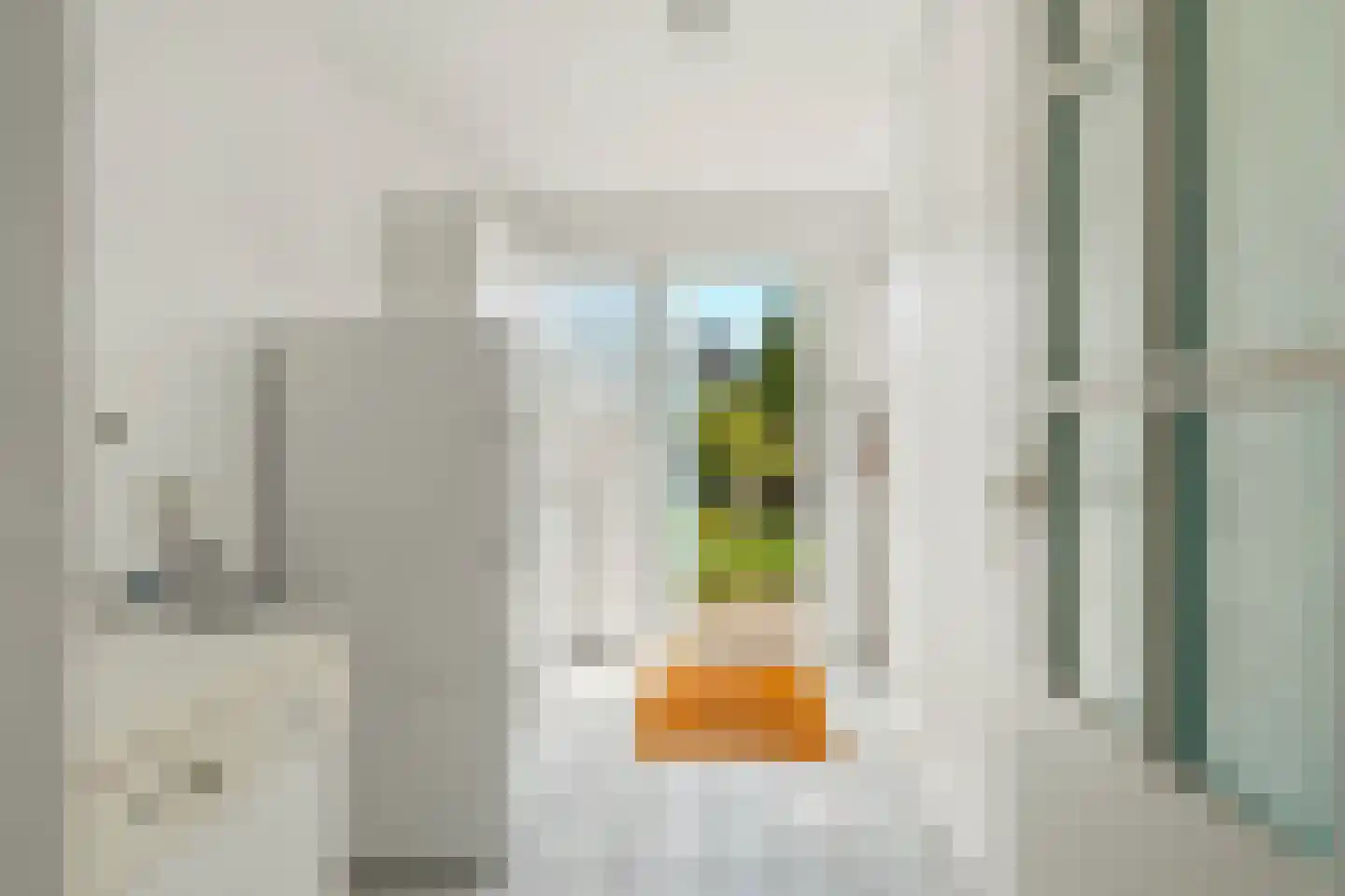 Henri Viottastraat 26 Dieren thumbnail 15