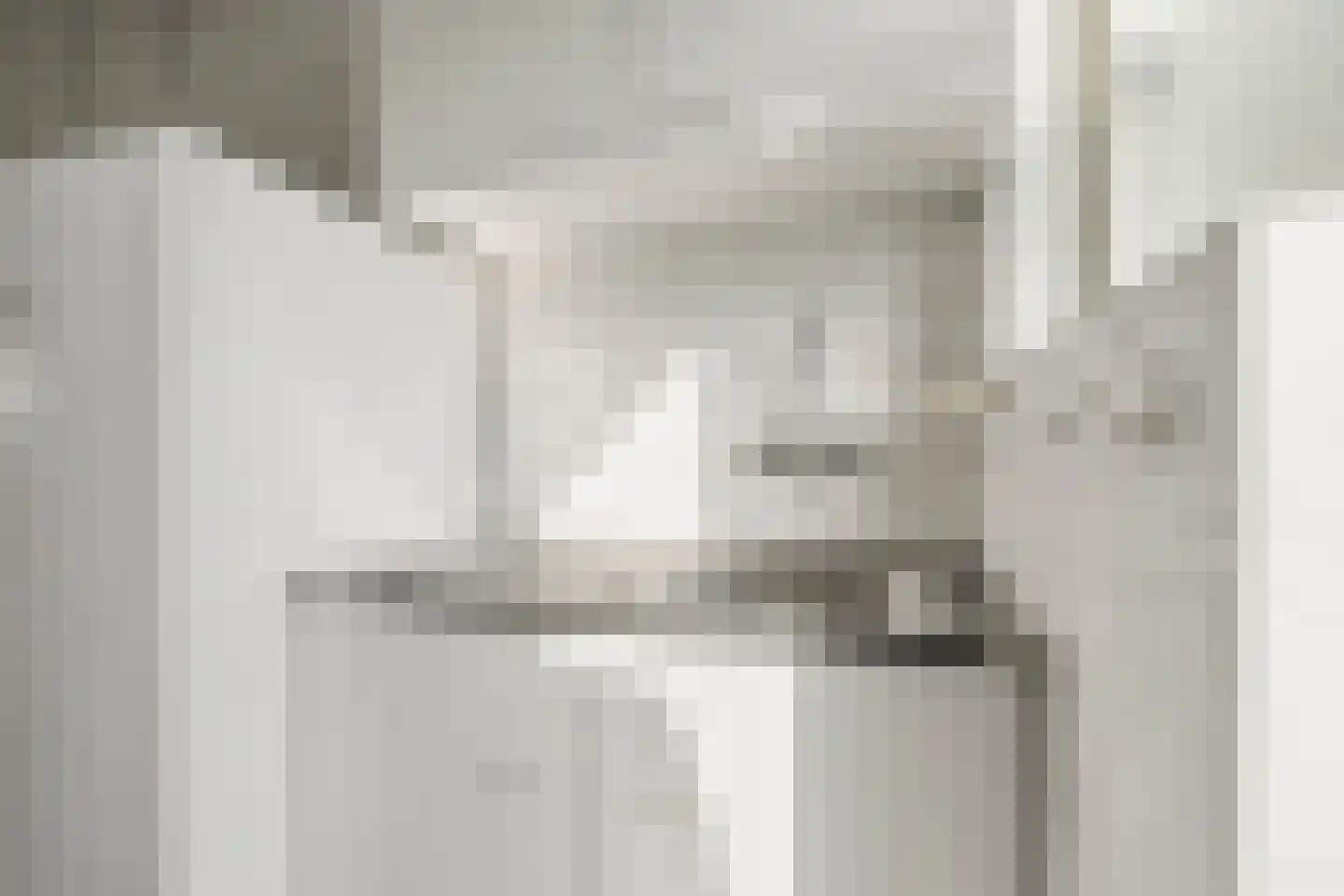Henri Viottastraat 26 Dieren thumbnail 16