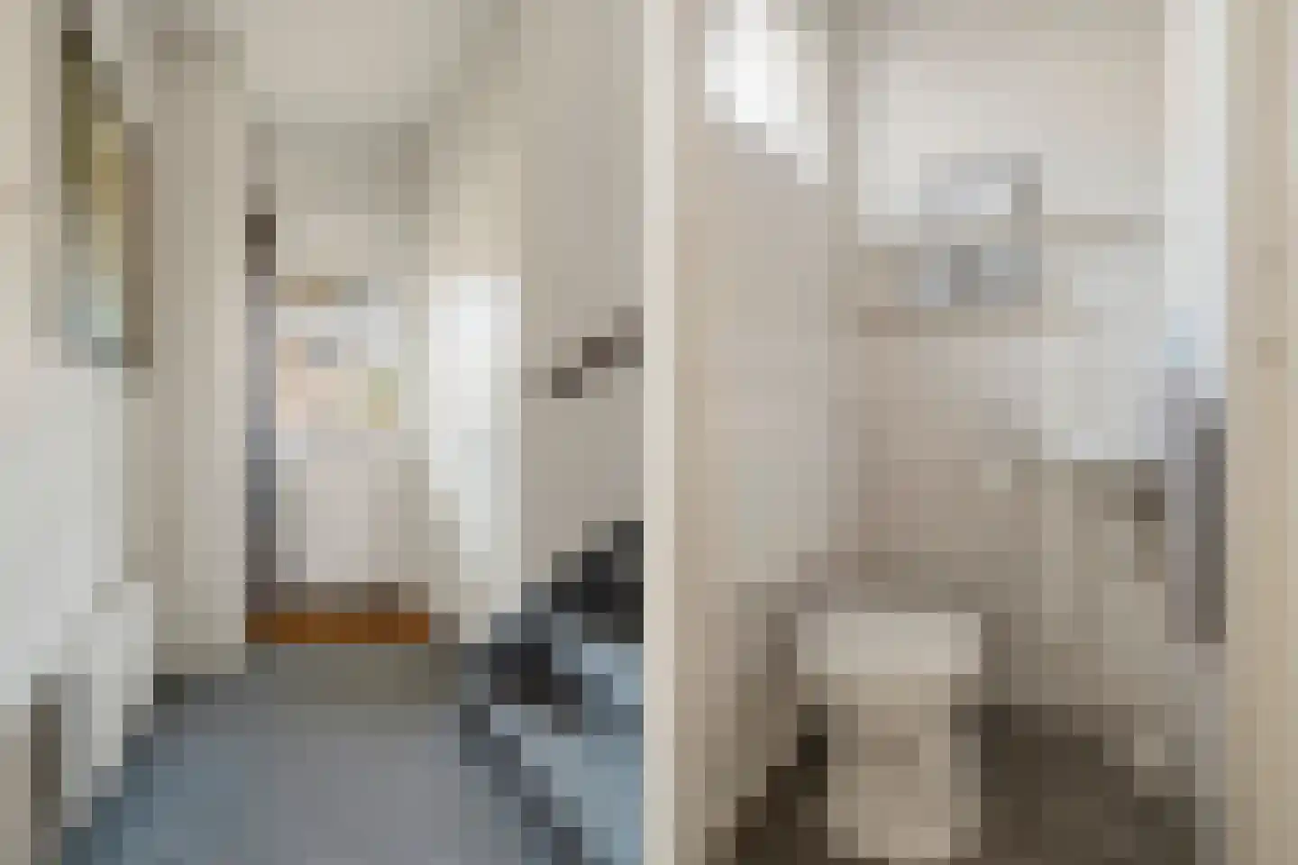 Henri Viottastraat 26 Dieren thumbnail 17