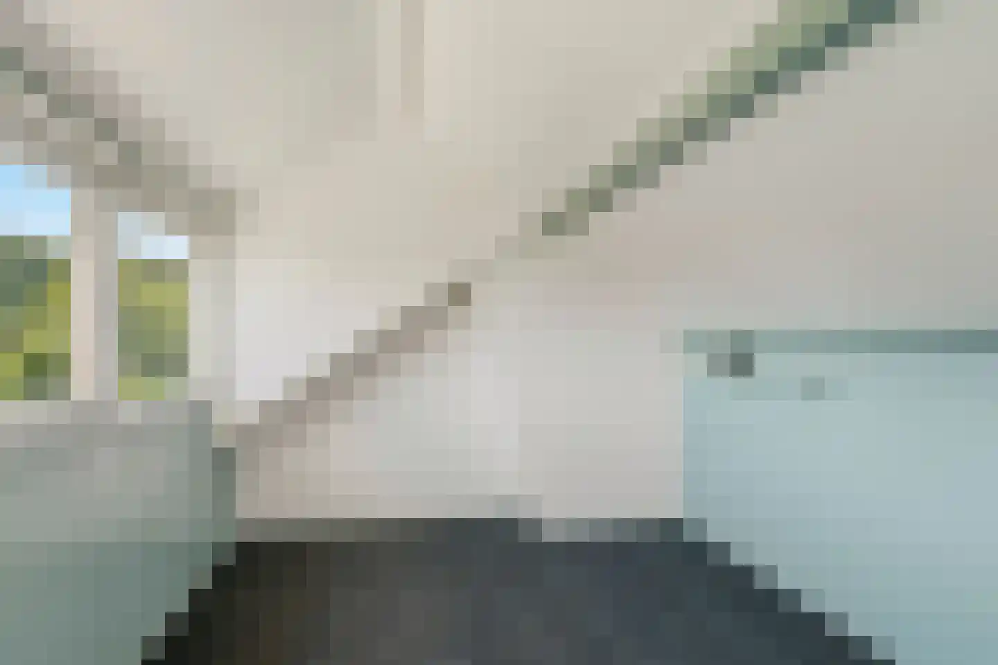 Henri Viottastraat 26 Dieren thumbnail 28