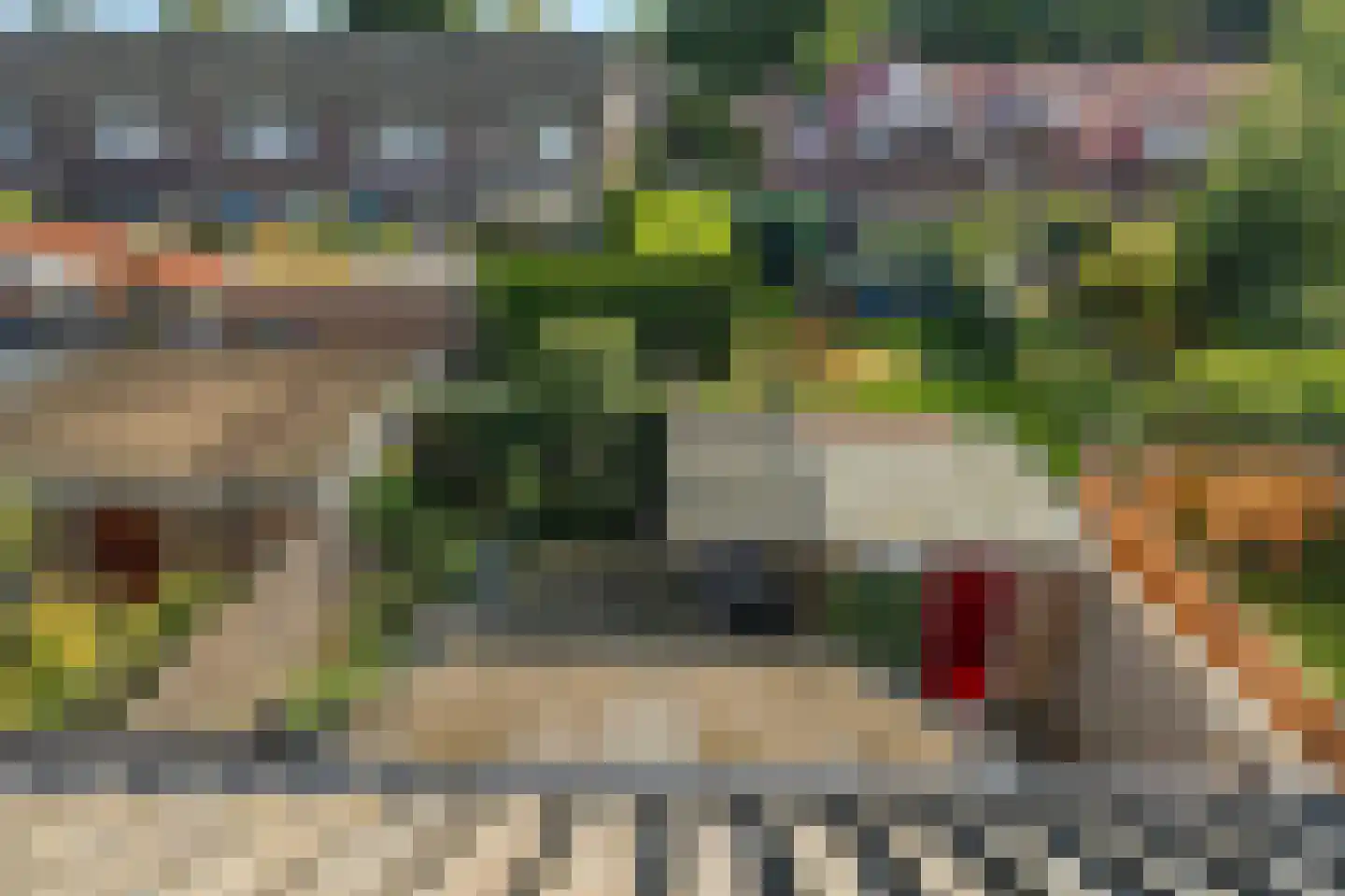 Henri Viottastraat 26 Dieren thumbnail 31