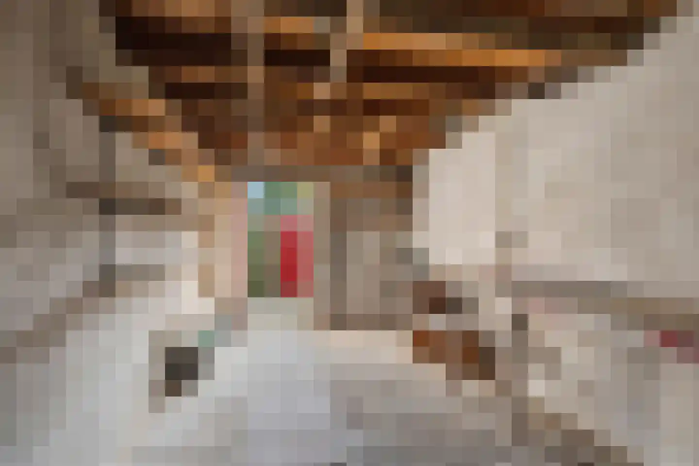 Henri Viottastraat 26 Dieren thumbnail 36