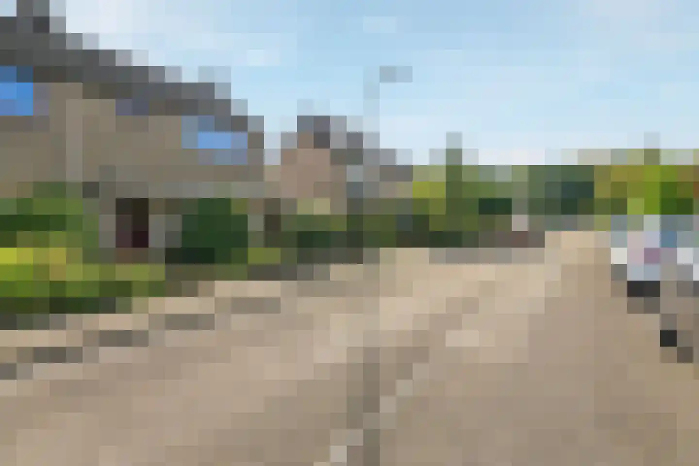 Henri Viottastraat 26 Dieren thumbnail 41