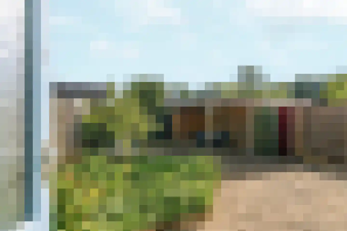Henri Viottastraat 26 Dieren thumbnail 5