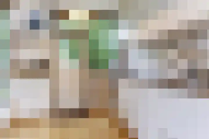 Henri Viottastraat 9 Dieren thumbnail 10