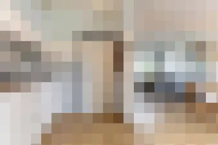 Henri Viottastraat 9 Dieren thumbnail 11