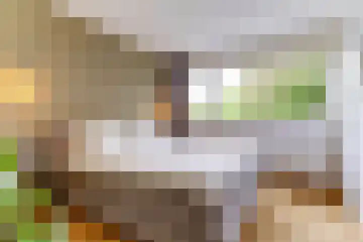 Henri Viottastraat 9 Dieren thumbnail 13