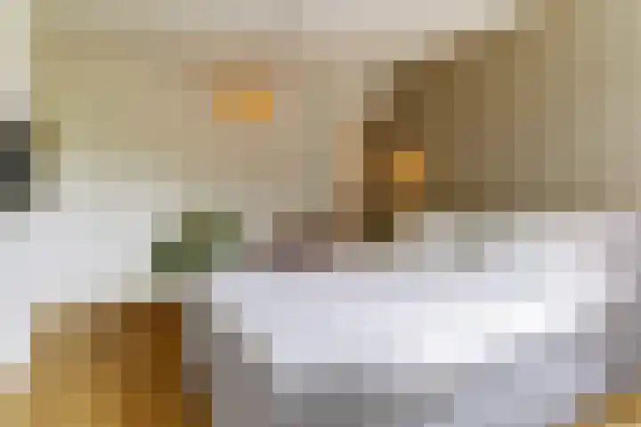 Henri Viottastraat 9 Dieren thumbnail 14