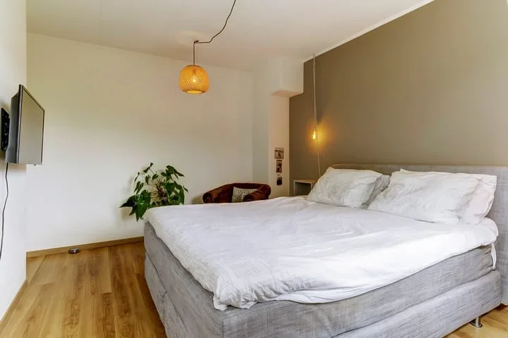Henri Viottastraat 9 Dieren thumbnail 14