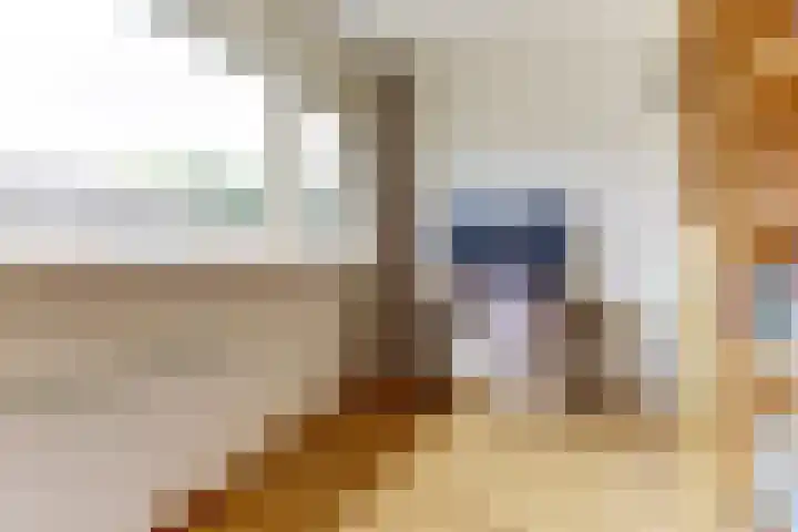 Henri Viottastraat 9 Dieren thumbnail 15