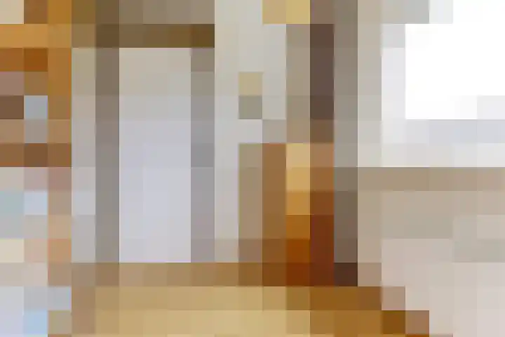 Henri Viottastraat 9 Dieren thumbnail 16