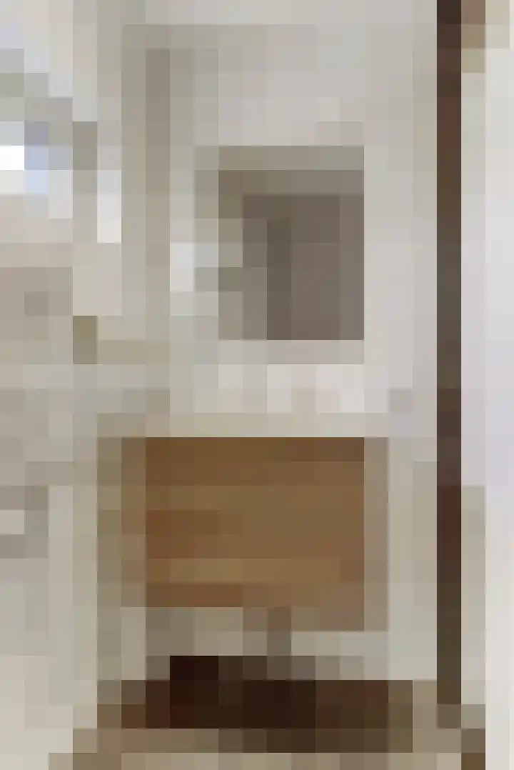 Henri Viottastraat 9 Dieren thumbnail 20