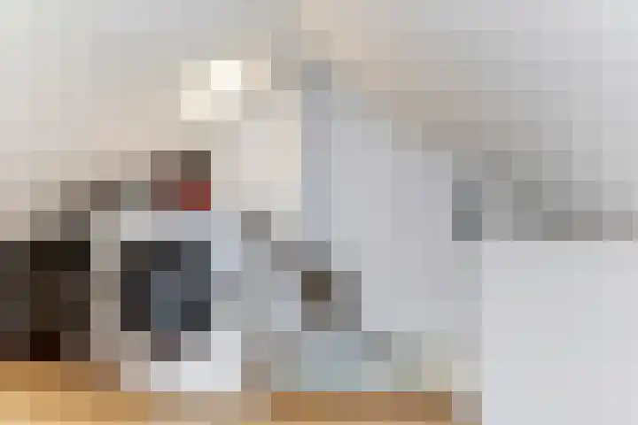 Henri Viottastraat 9 Dieren thumbnail 22