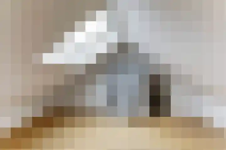 Henri Viottastraat 9 Dieren thumbnail 23